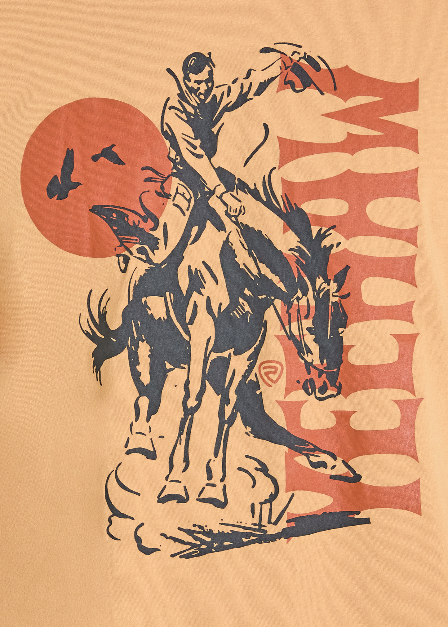 Stylized illustration of a cowboy on a horse with a red sun and birds in the background.